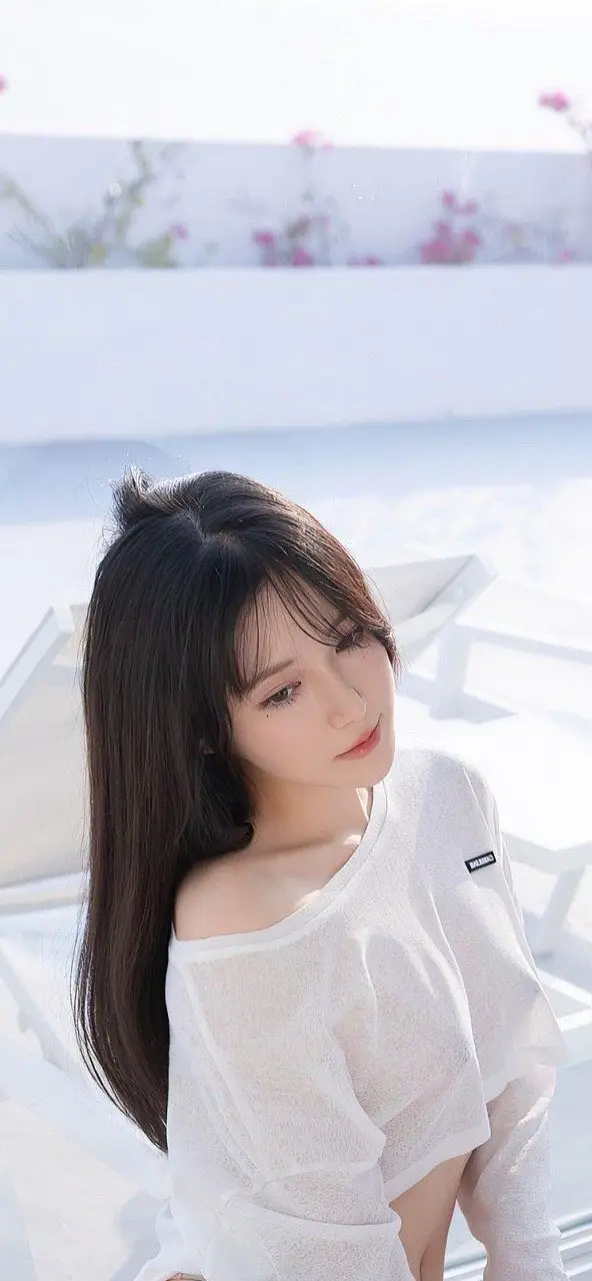 野马下载数据增长趋势图